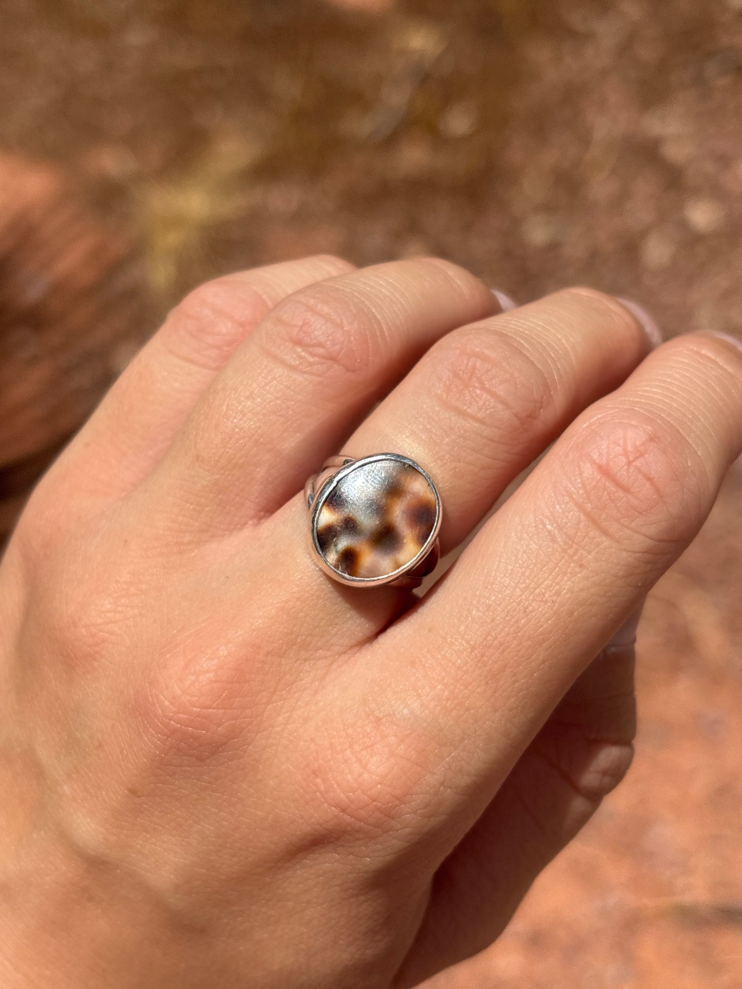 Native American, Hand-Made, Cowrie & Sterling Silver Ring