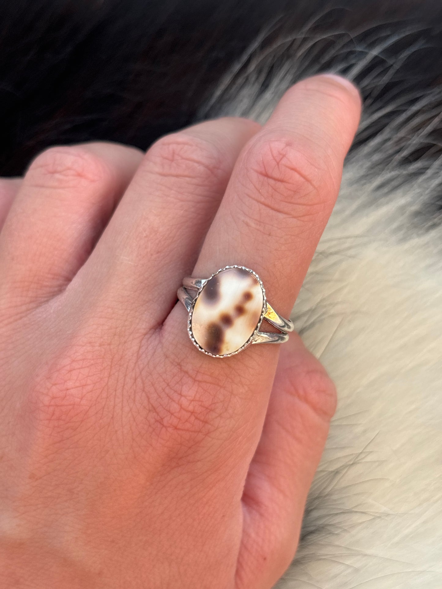 Native American, Hand-Made, Cowrie & Sterling Silver Ring