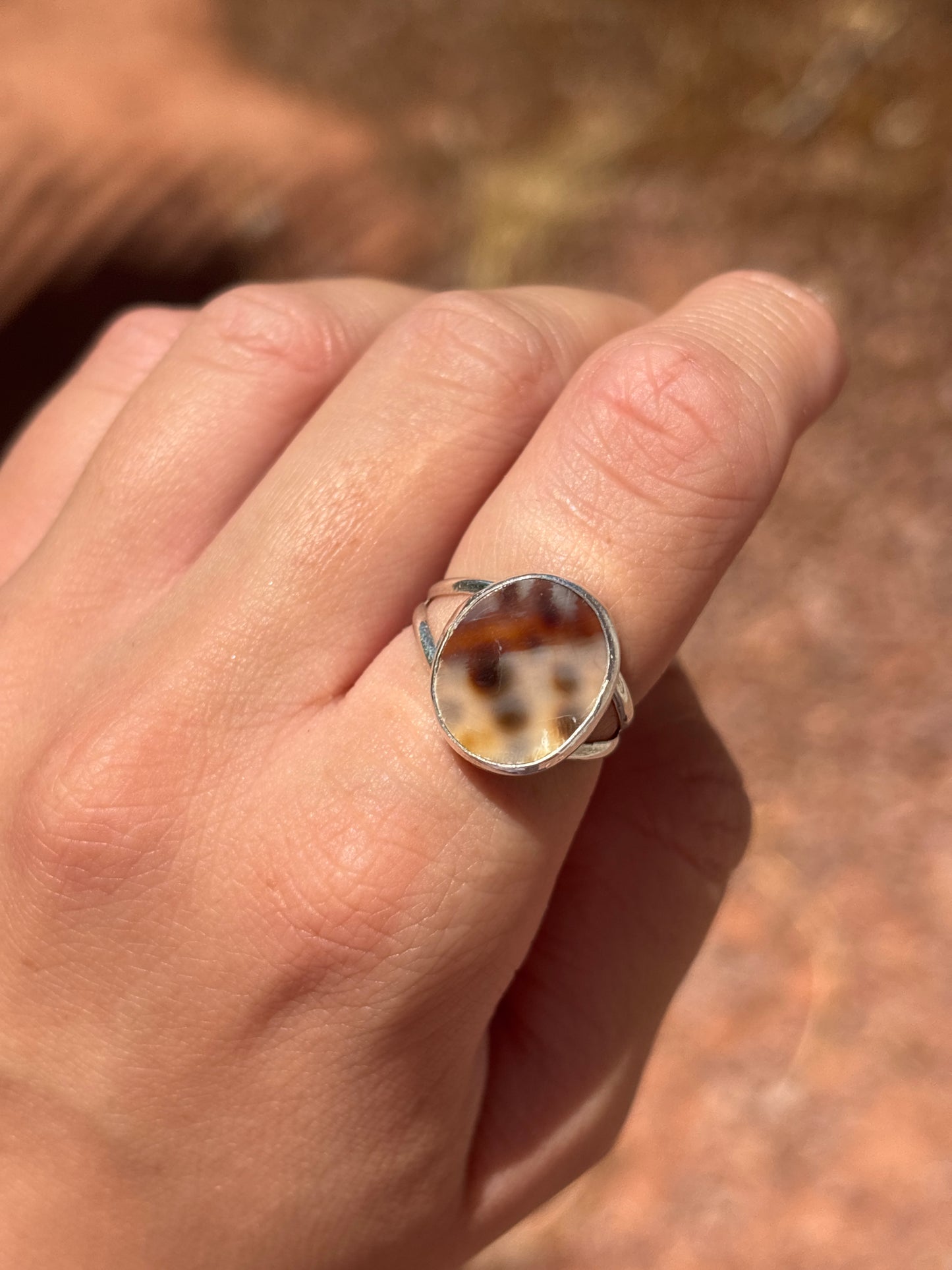 Native American, Hand-Made, Cowrie & Sterling Silver Ring