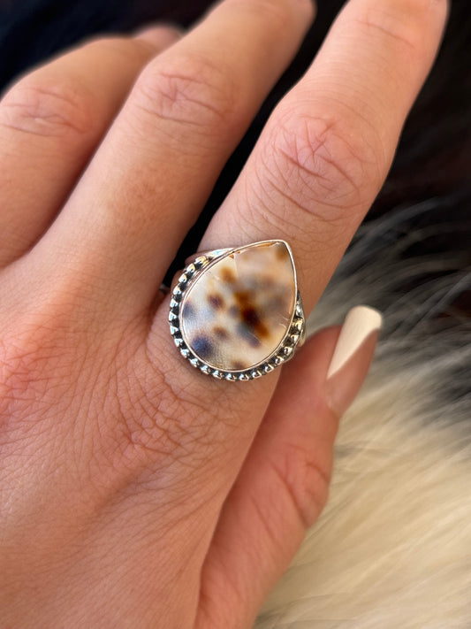 Native American, Hand-Made, Cowrie & Sterling Silver Ring