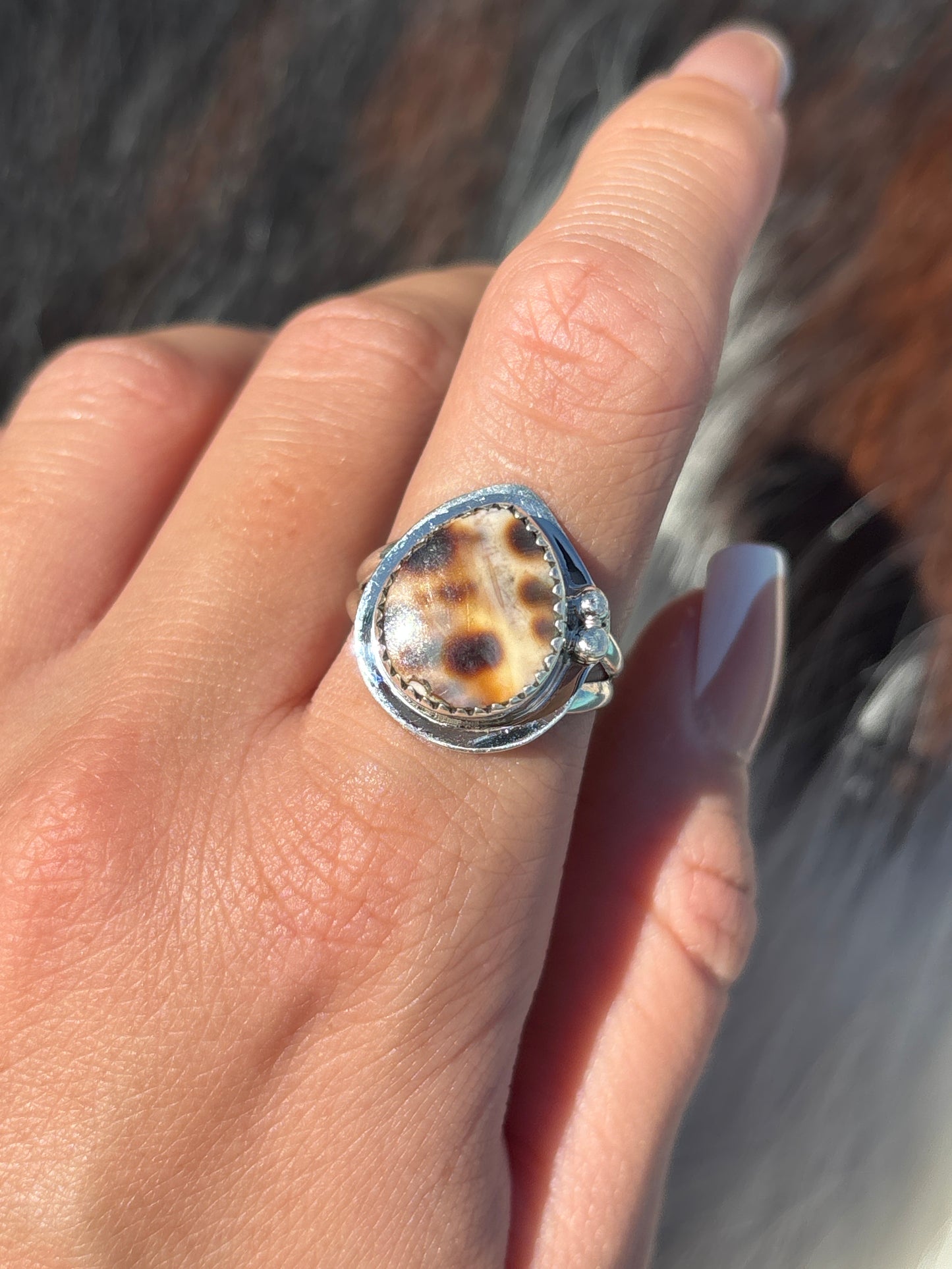 Native American, Hand-Made, Cowrie & Sterling Silver Ring