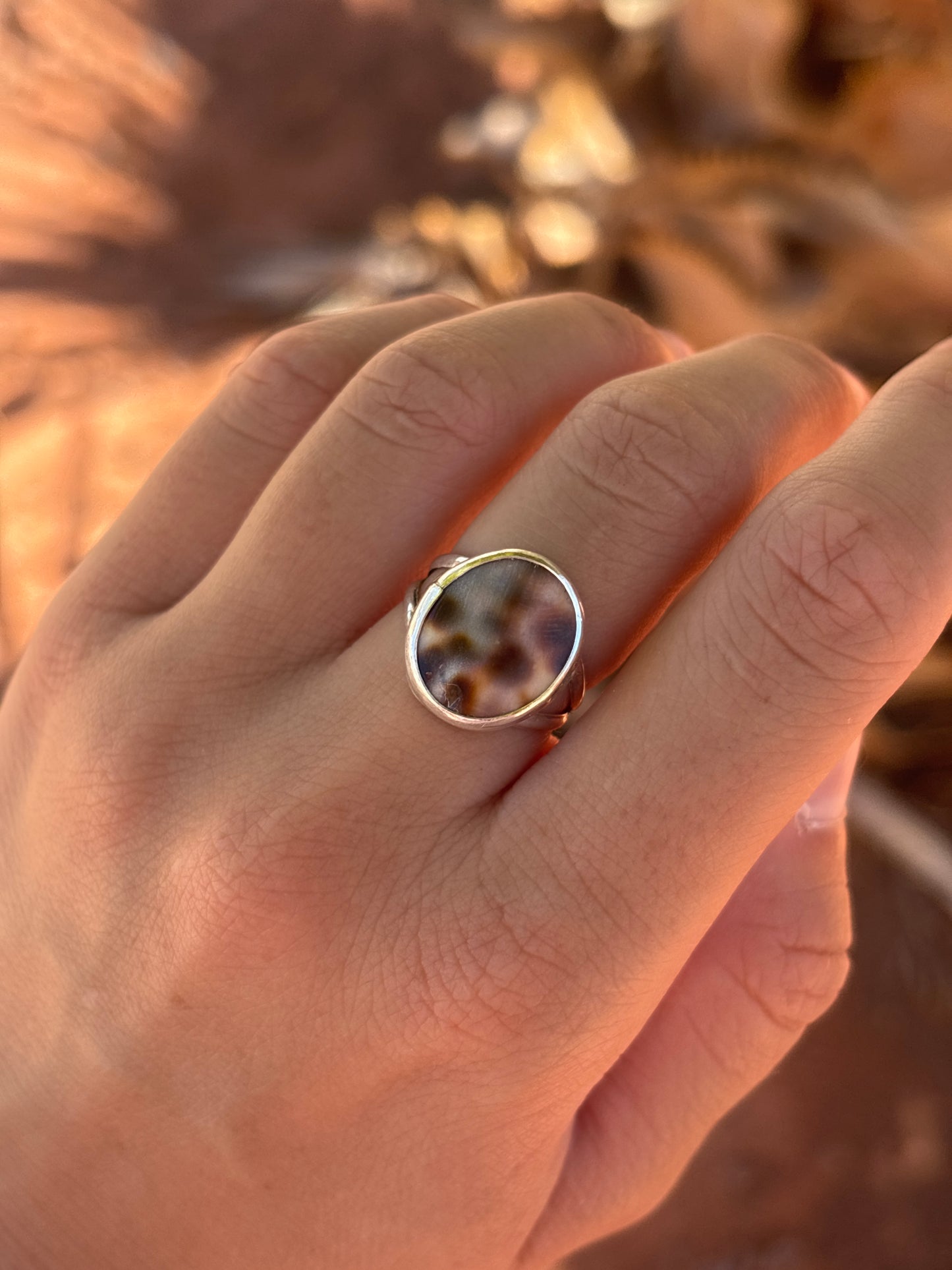 Native American, Hand-Made, Cowrie & Sterling Silver Ring