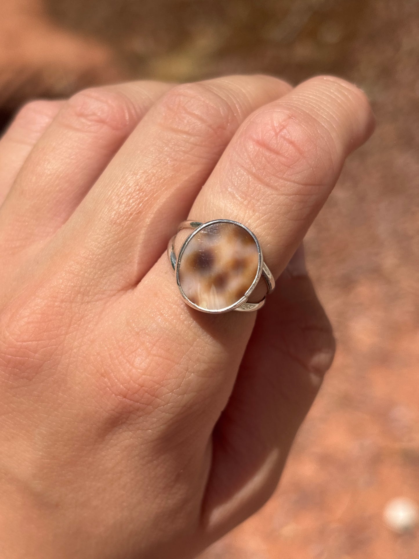Native American, Hand-Made, Cowrie & Sterling Silver Ring