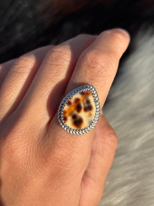 Native American, Hand-Made, Cowrie & Sterling Silver Ring