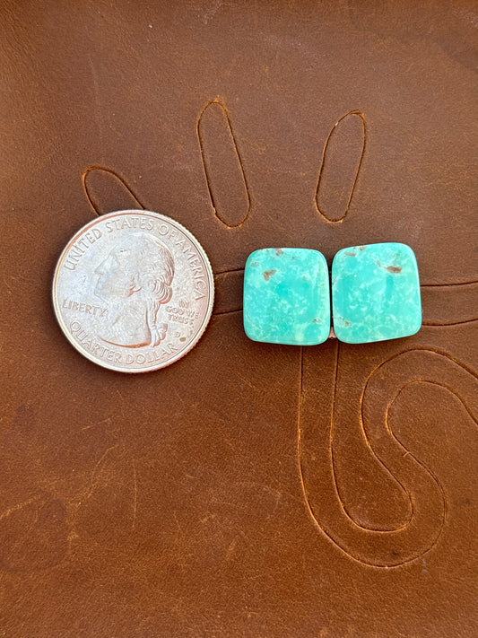 Turquoise Earrings Cabochon Set