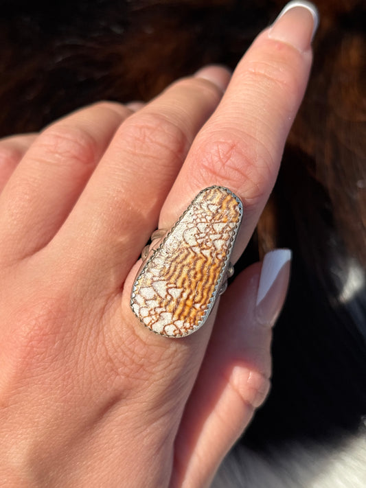 Native American, Hand-Made, Cone Shell & Sterling Silver Ring