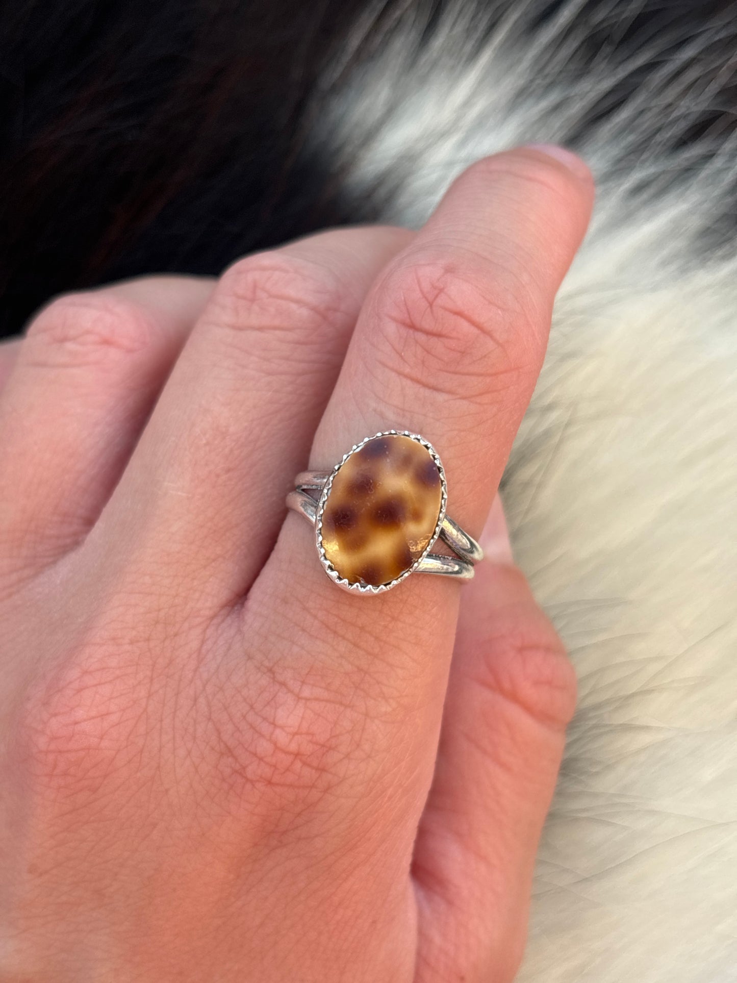 Native American, Hand-Made, Cowrie & Sterling Silver Ring