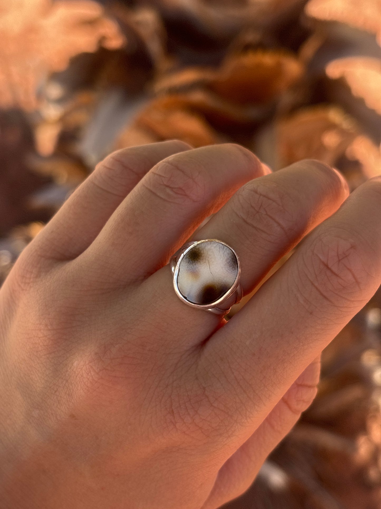 Native American, Hand-Made, Cowrie & Sterling Silver Ring