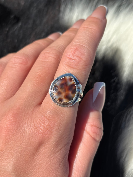 Native American, Hand-Made, Cowrie & Sterling Silver Ring