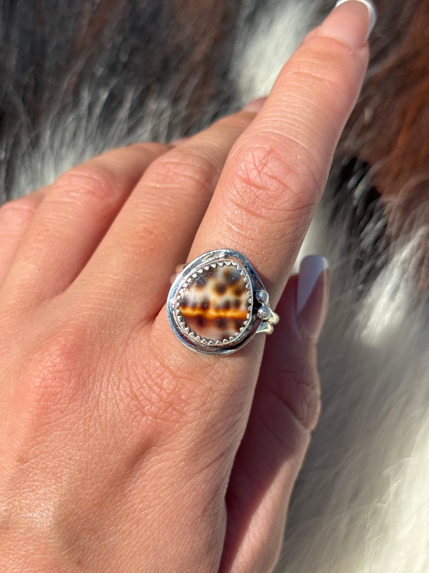 Native American, Hand-Made, Cowrie & Sterling Silver Ring