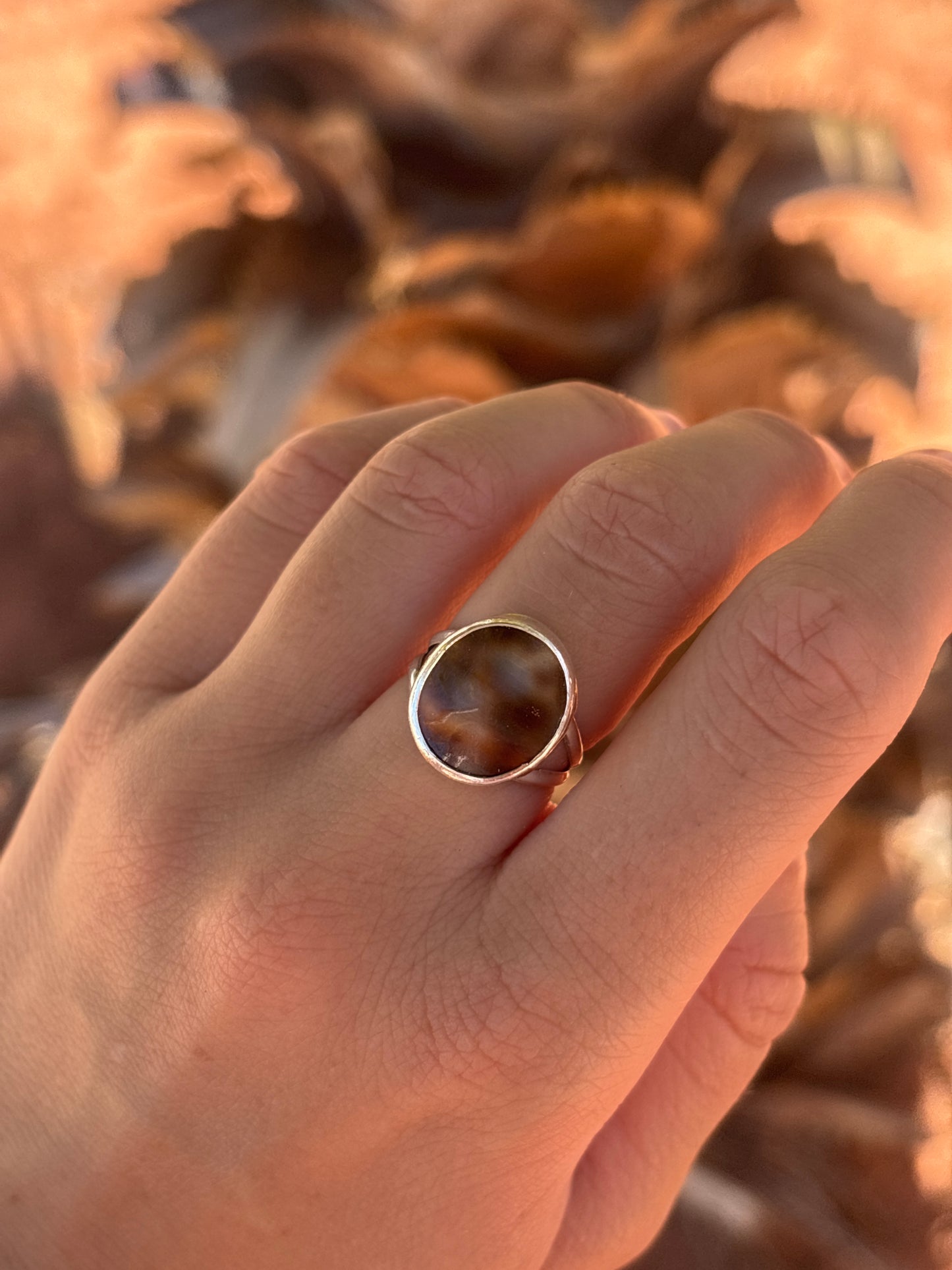 Native American, Hand-Made, Cowrie & Sterling Silver Ring
