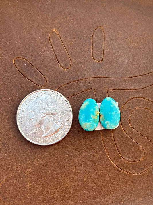 Turquoise Earrings Cabochon Set